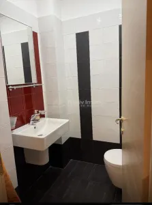 2 camere Sisesti cu gradina, lux - foto 7