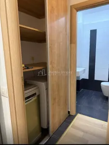 2 camere Sisesti cu gradina, lux - foto 9