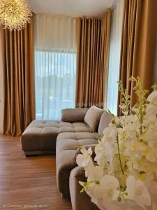 Casa 4 camere - Domnesti - Str. Fagului - foto 4