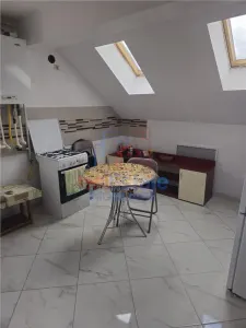 Apartament cu 2 camere open-space Pacurari-Valea Lupului - foto 2