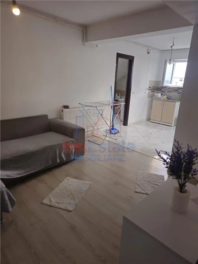 Apartament cu 2 camere open-space Pacurari-Valea Lupului - foto 4