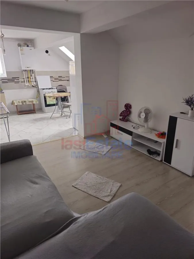 Apartament cu 2 camere open-space Pacurari-Valea Lupului - foto 7