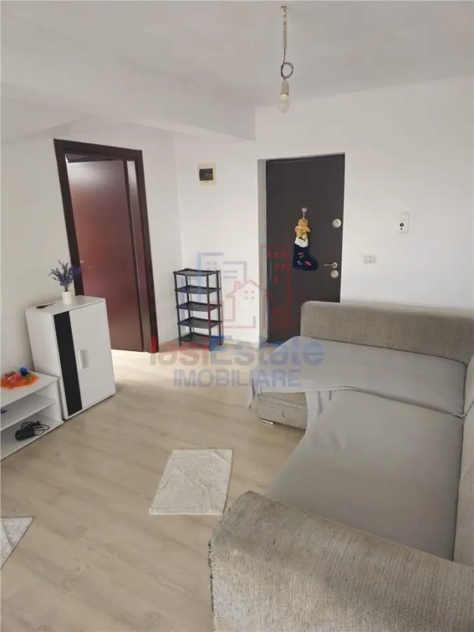 Apartament cu 2 camere open-space Pacurari-Valea Lupului - foto 8