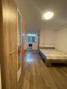 Studio Alexandru cel Bun – Parcul Voievozilor - Iasi