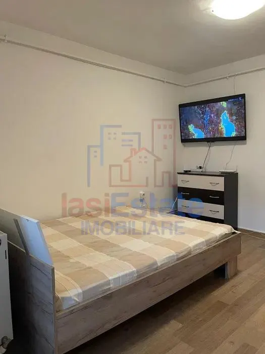 استوديو ألكسندرو سيل بون – بارك فويفودزيلور - foto 2
