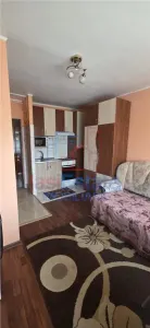 Estudio con Distribución Separada, Baño Equipado - foto 6