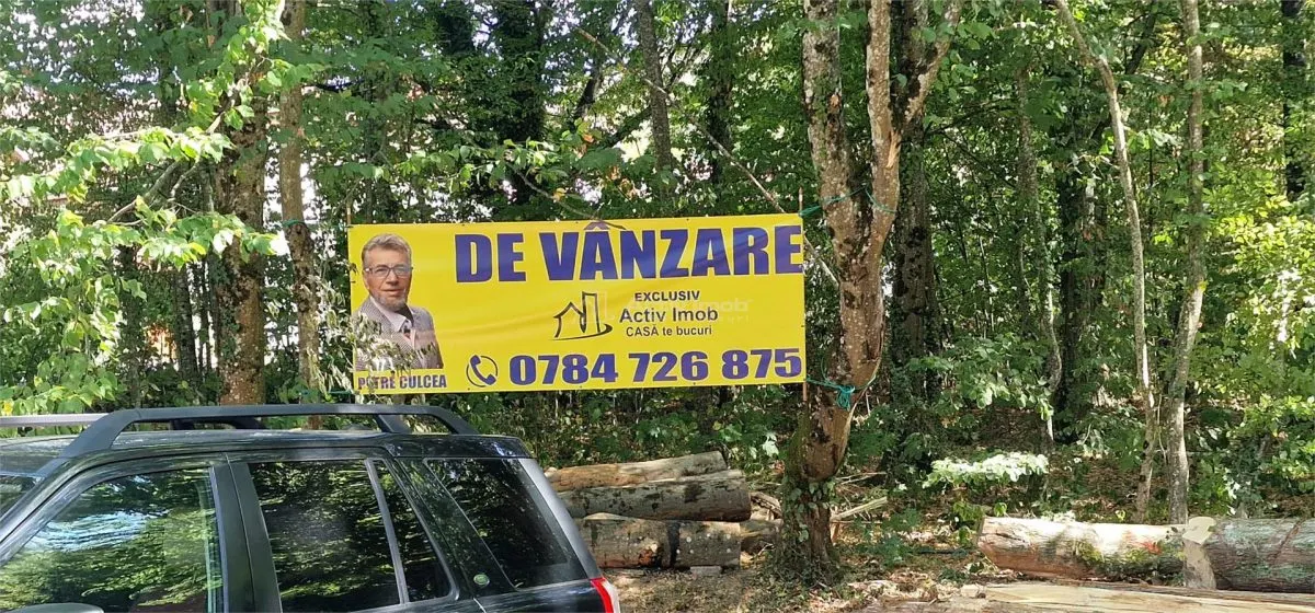 Land for sale 2239 sqm in Bocsa - foto 1