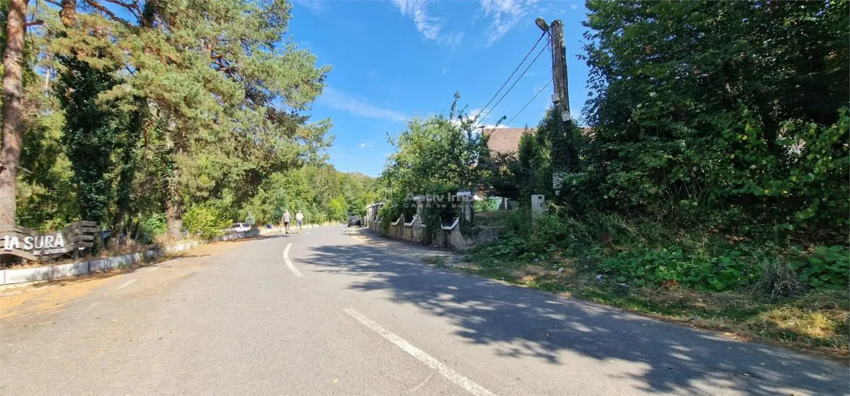 Land for sale 2239 sqm in Bocsa - foto 3