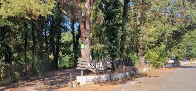 Land for sale 2239 sqm in Bocsa - foto 4