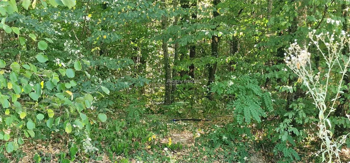 Land for sale 2239 sqm in Bocsa - foto 6