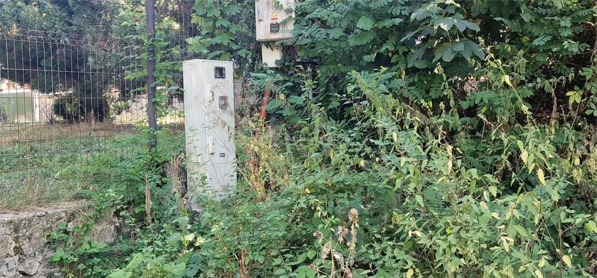 Land for sale 2239 sqm in Bocsa - foto 7