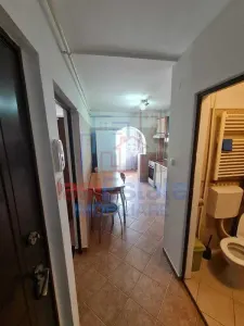 Apartment with 1 bedrooms for rent 32 sqm in Iasi, Podul de Fier area - foto 4
