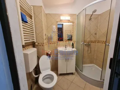 Apartment with 1 bedrooms for rent 32 sqm in Iasi, Podul de Fier area - foto 7