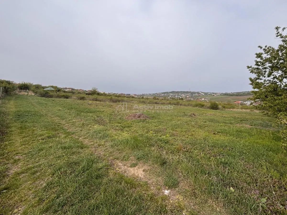 贝尔迪塞亚努街转角地块 – 800平米住宅用地 - foto 1