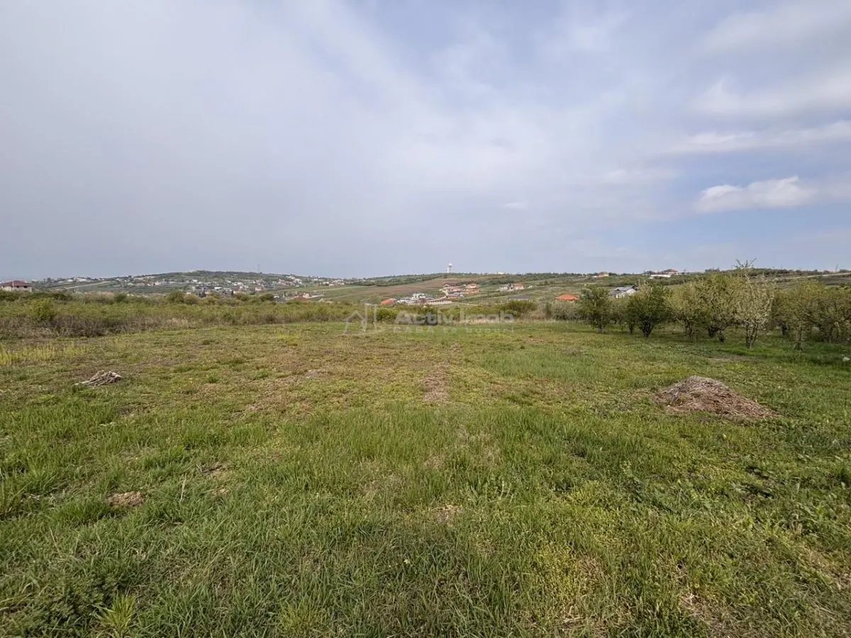 贝尔迪塞亚努街转角地块 – 800平米住宅用地 - foto 2