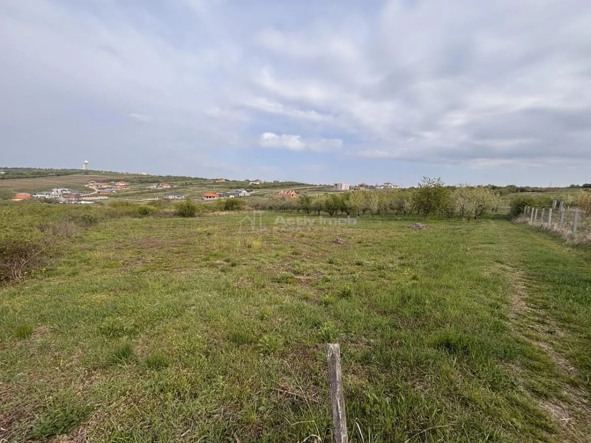 贝尔迪塞亚努街转角地块 – 800平米住宅用地 - foto 3