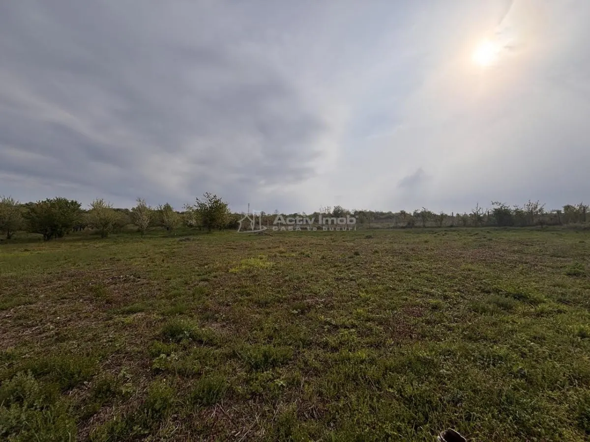 贝尔迪塞亚努街转角地块 – 800平米住宅用地 - foto 7