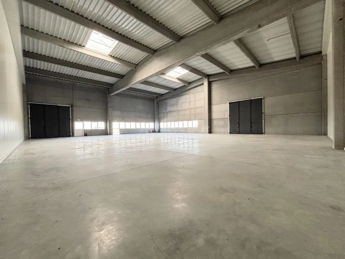 Naves Industriales en Alquiler – Oradea, junto a Parque Industrial I - foto 12
