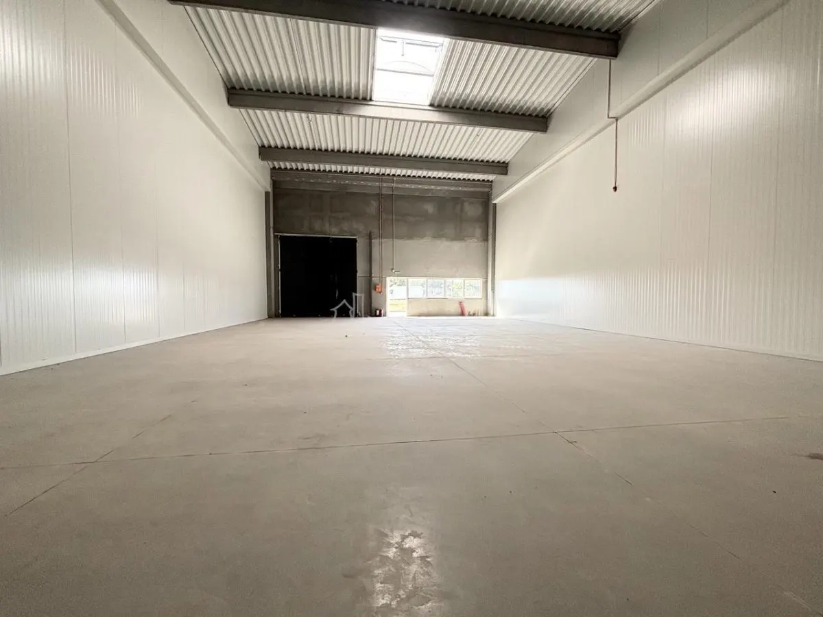 Naves Industriales en Alquiler – Oradea, junto a Parque Industrial I - foto 14