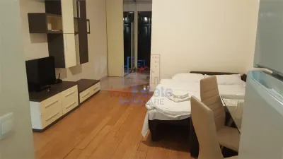 Apartament 1 Camera Copou - Exclusive Residence - foto 3