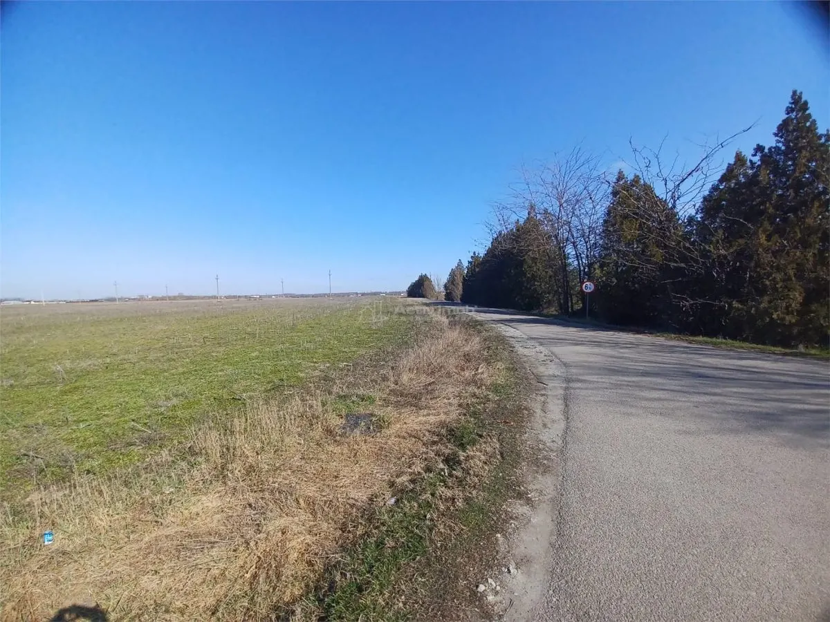 Vanzare Teren Intravilan Calarasi- Cuza Voda Stradal DN3 - foto 6