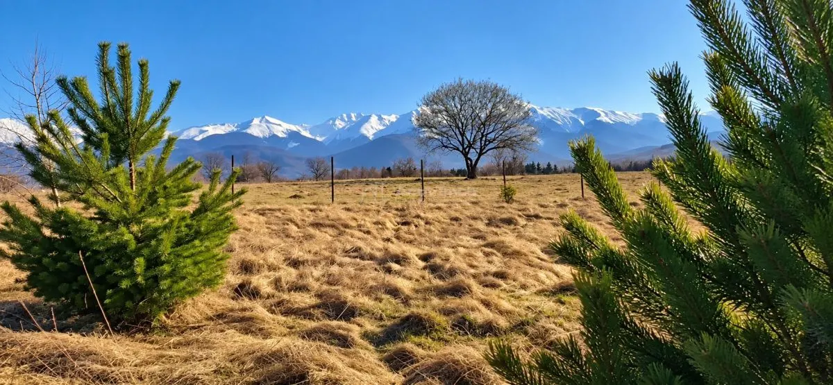 Terrain Résidentiel avec Vue Panoramique sur les Montagnes - foto 1