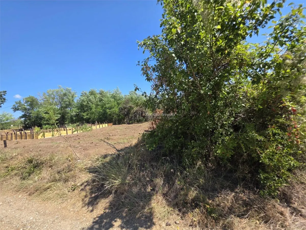 Terrain à Bâtir, 509 m², Façade de 30 m, Commune Vernesti - foto 2
