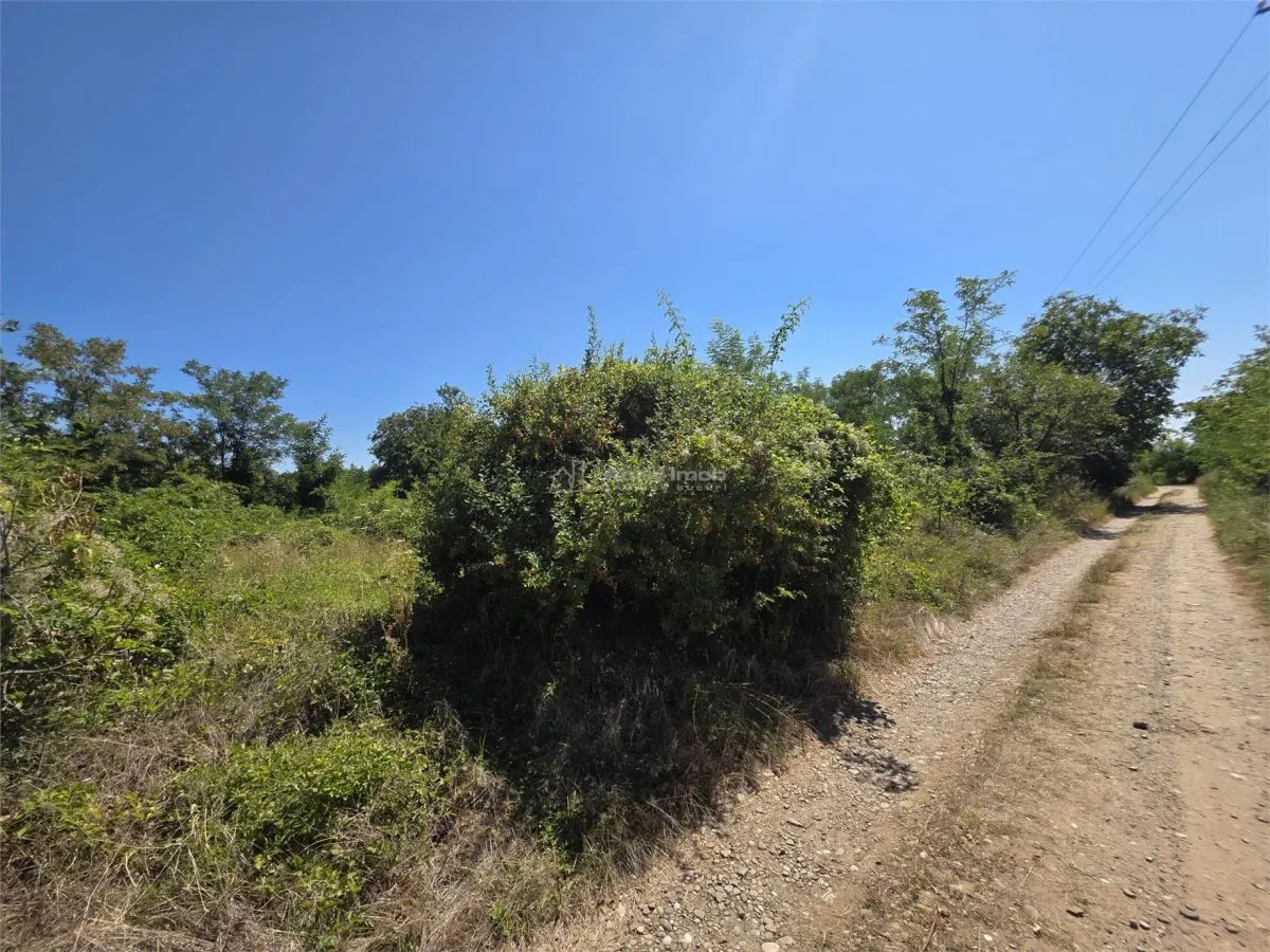 Terrain à Bâtir, 509 m², Façade de 30 m, Commune Vernesti - foto 3