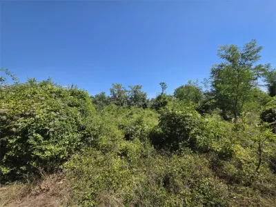 Terrain à Bâtir, 509 m², Façade de 30 m, Commune Vernesti - foto 5