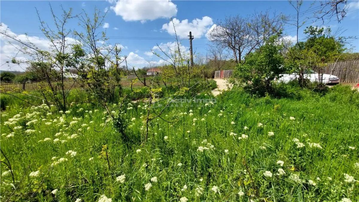 Terrain à Bâtir, 509 m², Façade de 30 m, Commune Vernesti - foto 7