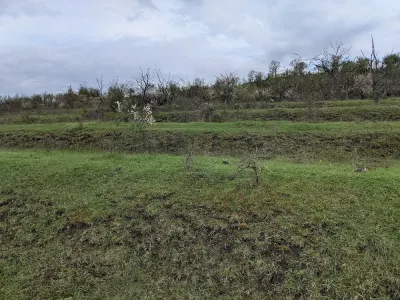 Teren extravilan de 10.000 mp in Santuhalm, cu priveliste spre Cetatea Deva - foto 6