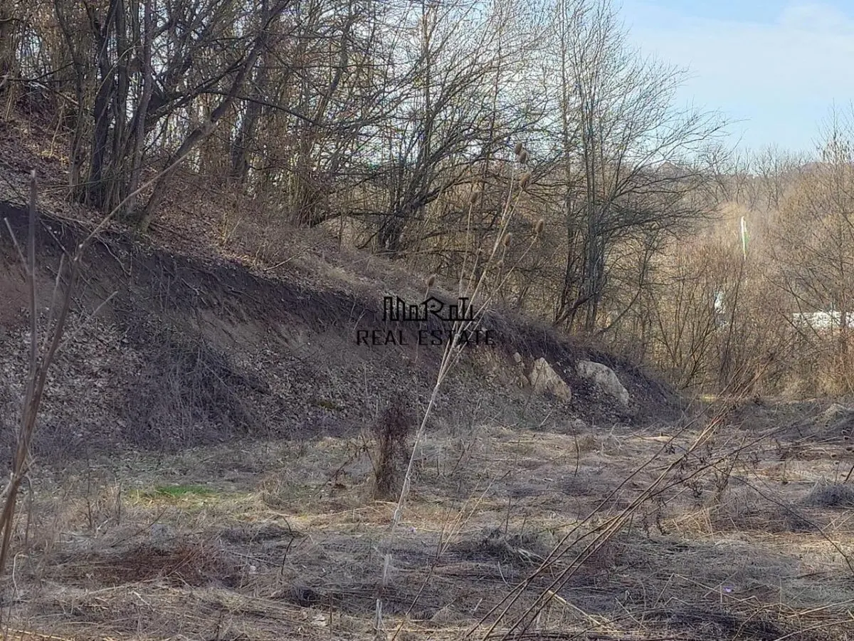 Teren intravilan la liziera padurii - foto 3