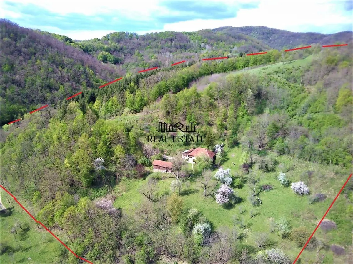 7-Hectare Estate in Apuseni - Criscior, Hunedoara - foto 1