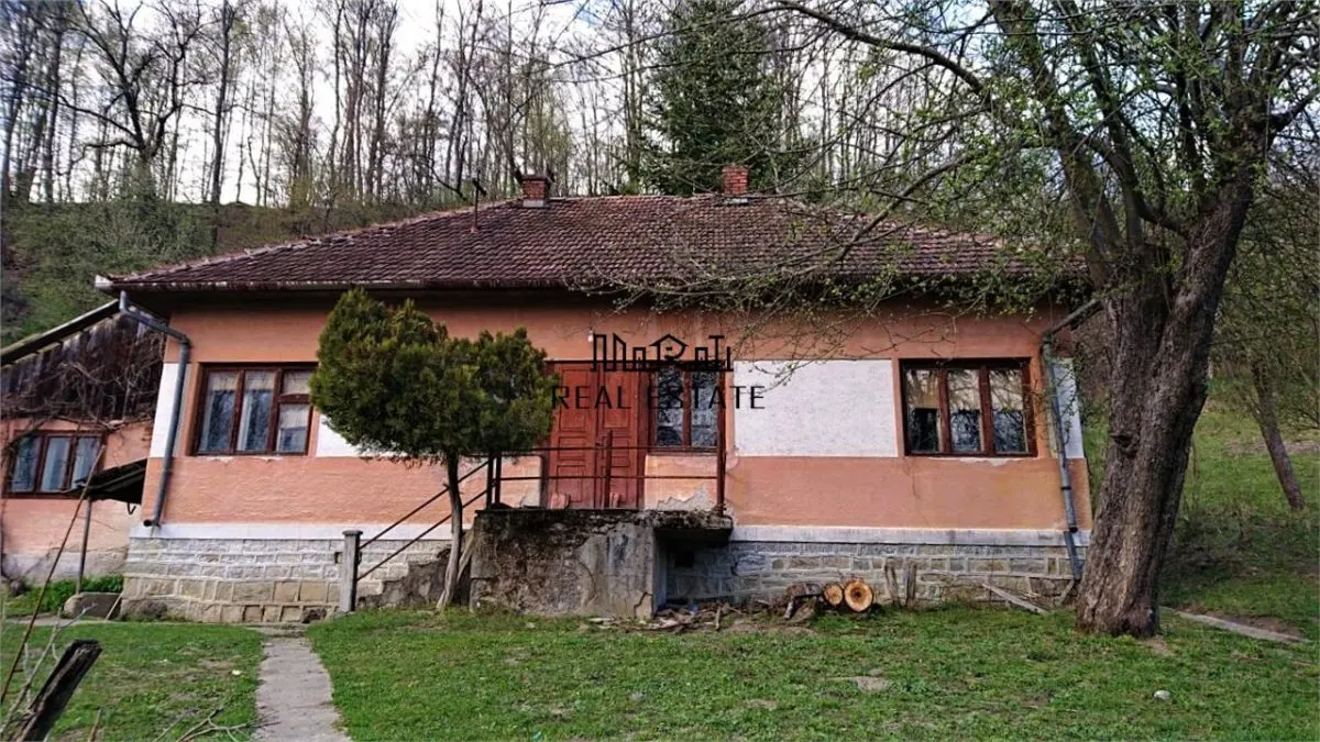 7-Hectare Estate in Apuseni - Criscior, Hunedoara - foto 2