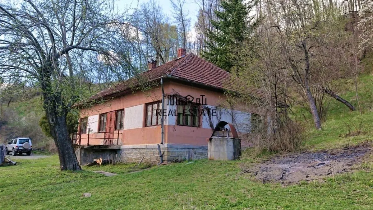 7-Hectare Estate in Apuseni - Criscior, Hunedoara - foto 3