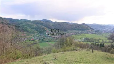 7-Hectare Estate in Apuseni - Criscior, Hunedoara - foto 5