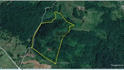7-Hectare Estate in Apuseni - Criscior, Hunedoara - foto 6