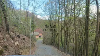 7-Hectare Estate in Apuseni - Criscior, Hunedoara - foto 7
