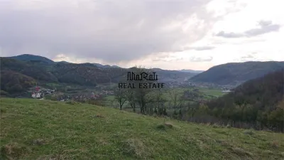 7-Hectare Estate in Apuseni - Criscior, Hunedoara - foto 8