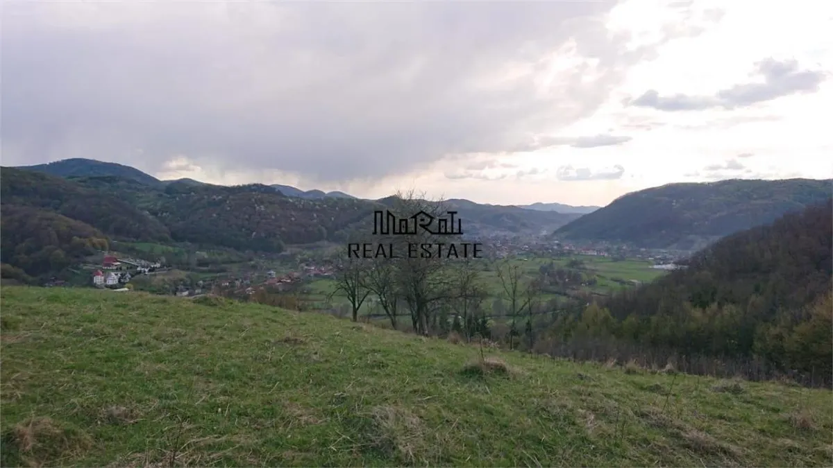 7-Hectare Estate in Apuseni - Criscior, Hunedoara - foto 8