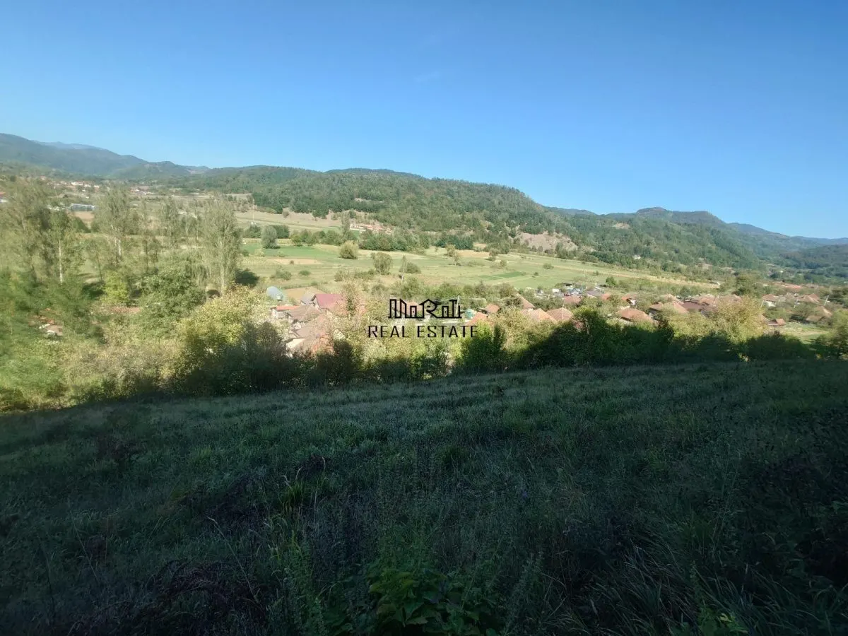 Land for sale 56031 sqm in Criscior - foto 2