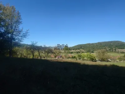Land for sale 56031 sqm in Criscior - foto 3