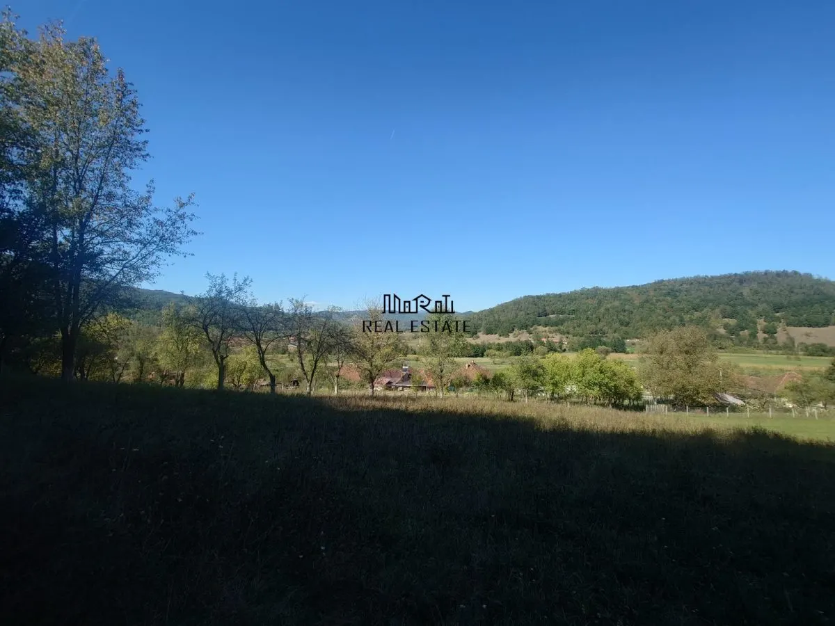 Land for sale 56031 sqm in Criscior - foto 3