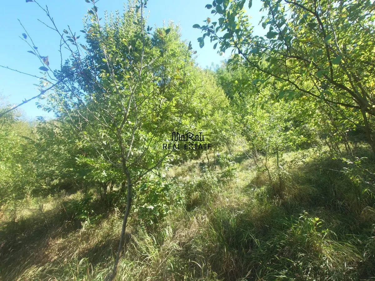 Land for sale 56031 sqm in Criscior - foto 4