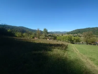 Land for sale 56031 sqm in Criscior - foto 5