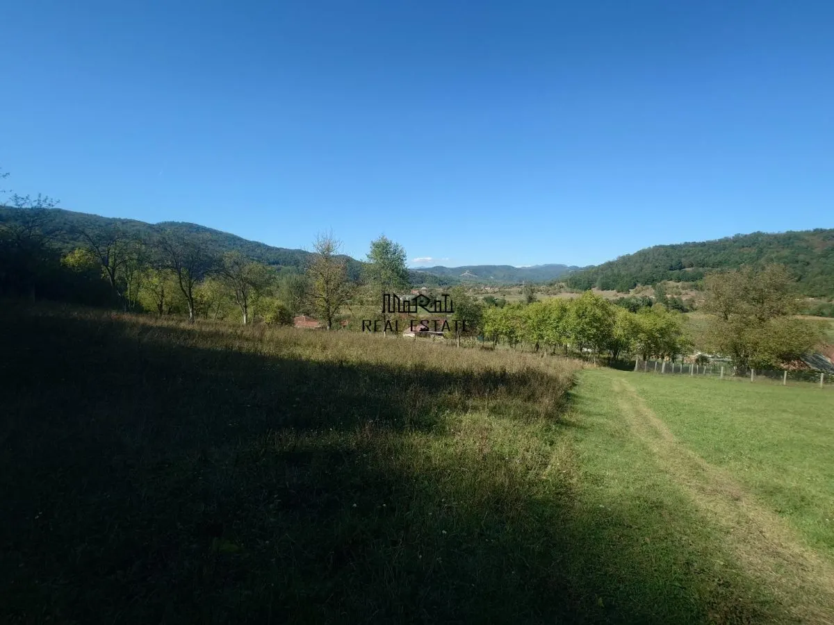 Land for sale 56031 sqm in Criscior - foto 5