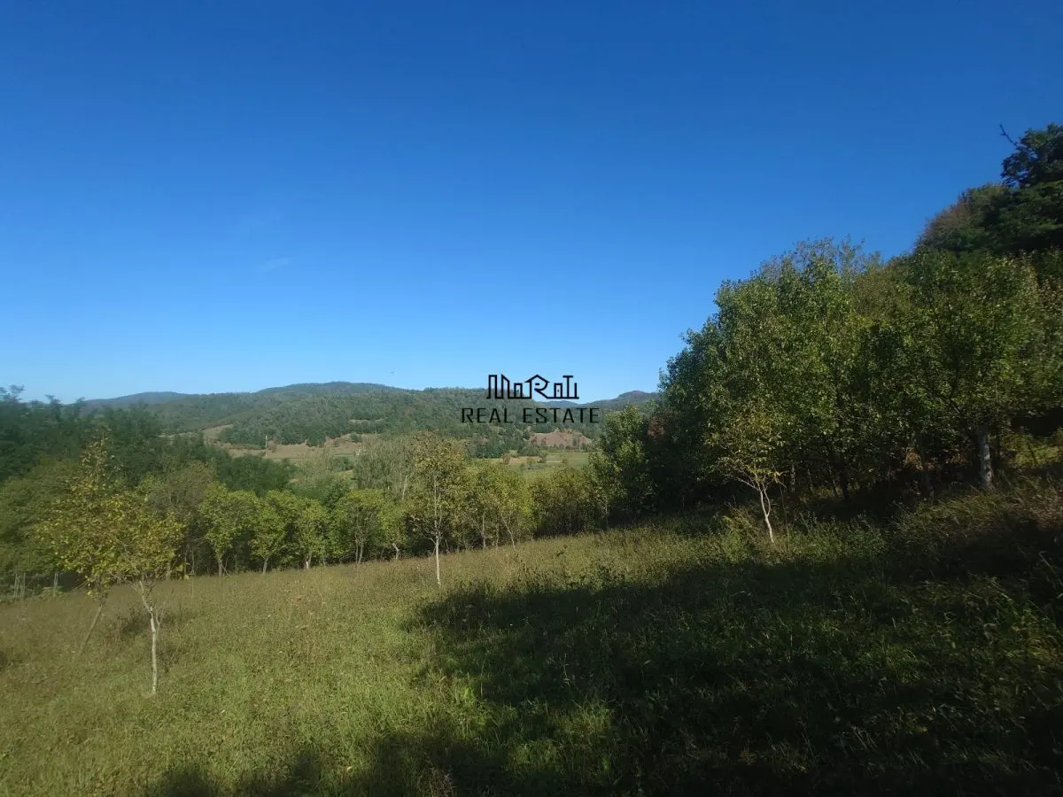 Land for sale 56031 sqm in Criscior - foto 6