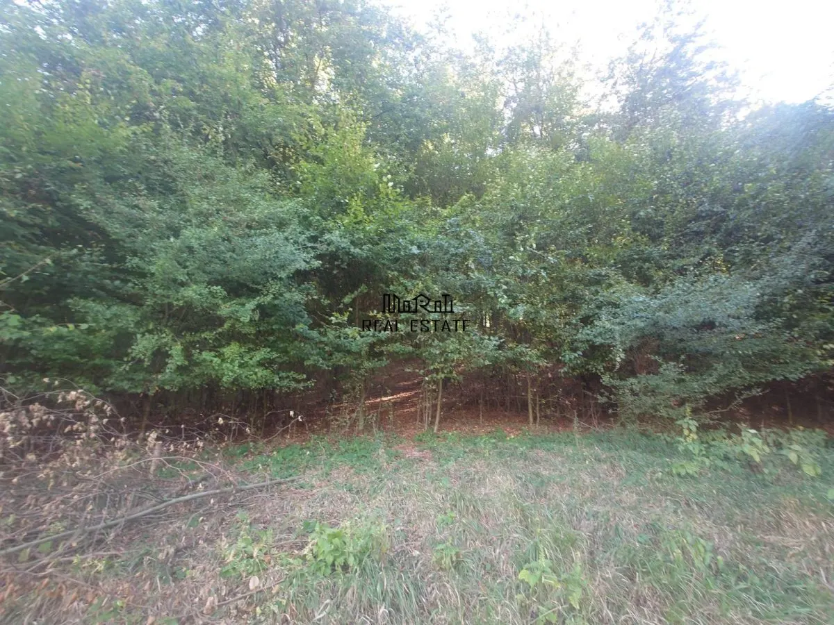 Land for sale 56031 sqm in Criscior - foto 7
