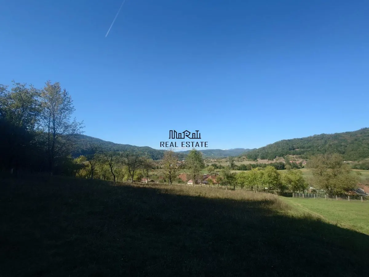 Land for sale 56031 sqm in Criscior - foto 8