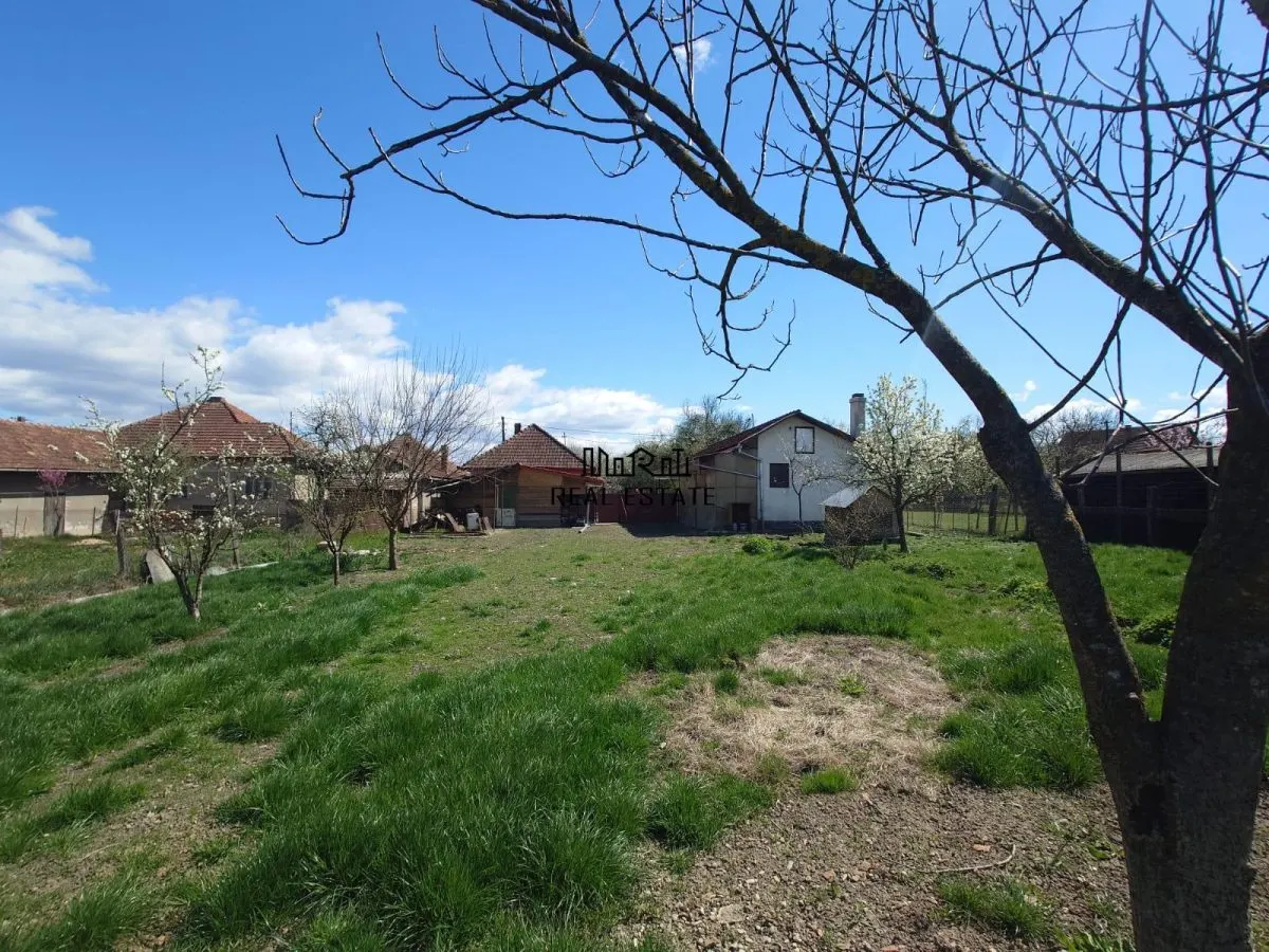 Maison et Terrain, Baia de Cris, Hunedoara - foto 18